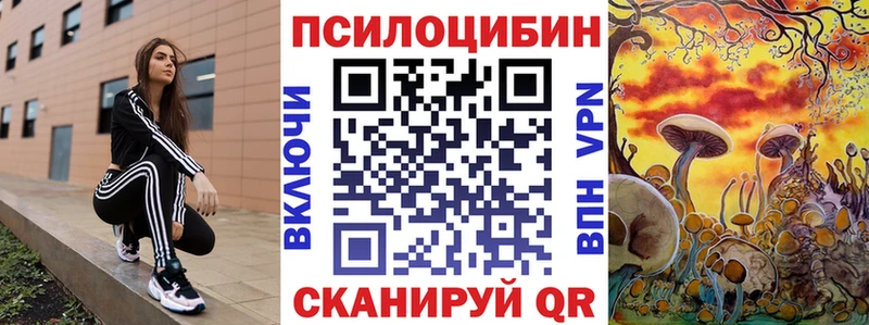 Галлюциногенные грибы Psilocybine cubensis  Югорск 